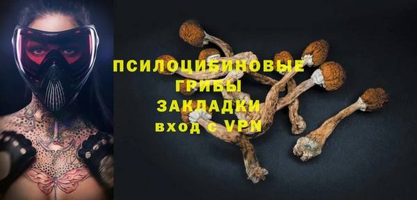 гидра Тайга